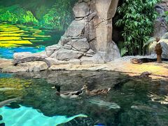 -上海海洋水族馆