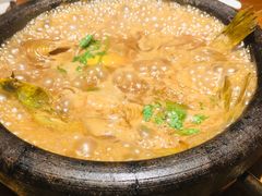 -小放牛炒菜馆(华北商厦店)