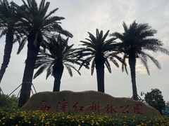 -宝安西湾红树林湿地公园