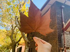 -上海孙中山故居纪念馆