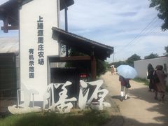 -上膳源有机农场