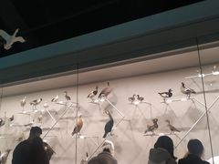 -中国湿地博物馆