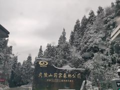 -武陵山森林公园