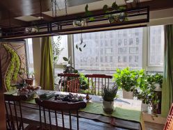 -青青一生美皮肤管理