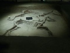 -洛阳周王城天子驾六博物馆