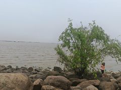 -吴淞炮台湾湿地森林公园烧烤区