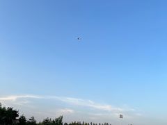 -潇河湿地公园