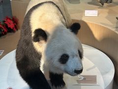 -陕西自然博物馆