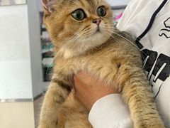 -宠颐生宠物医院外科·内科·皮肤科·影像科(石龙店)