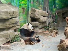 -灵玲国际马戏城