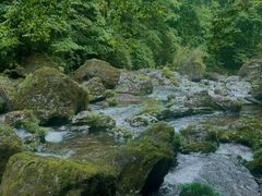 -龙苍沟森林公园
