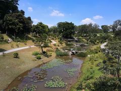 -东莞植物园