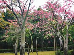 -晓港公园