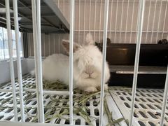 -小意思咖啡店(草桥店)