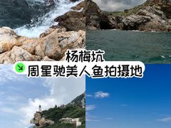 -杨梅坑