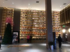 -深影国际影城(学院南路店CGS中国巨幕店)