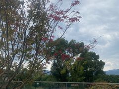 -东钱湖旅游度假区