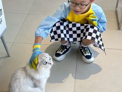 -怪兽屋·羊驼·猫咖·狗咖(俊华广场店)