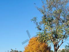 -绿岛公园(滨海新区)