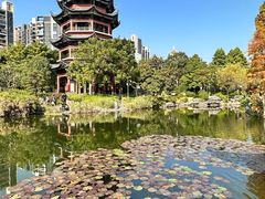 -岭南和园