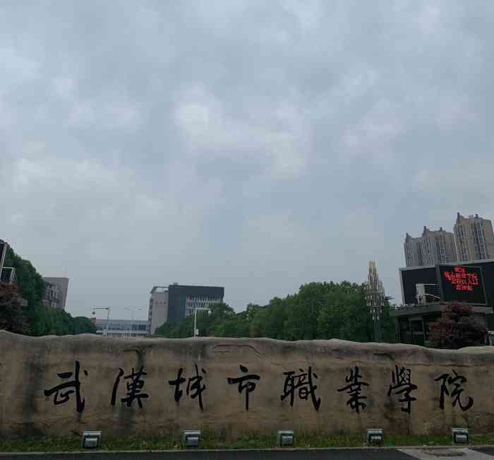 武汉城市职业学院(北校区)