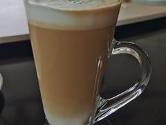 拿铁-诺莱仕游艇会