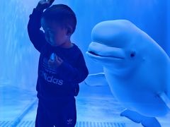 -多彩贵州城极地海洋世界