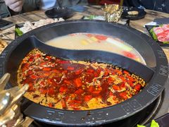 -销魂美蛙鱼头火锅(上海首店)