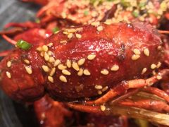 -肥肥虾庄·金牌油焖大虾(汉口城市广场店)