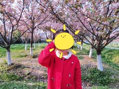-天鹅湖体育公园