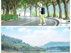 -风云岭森林公园