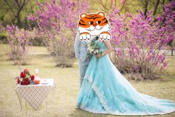 -保定巴黎婚纱摄影