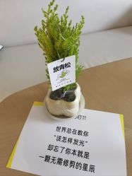 -爱悦月子中心·时光(武侯店)