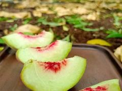 -云南蒙自过桥米线(丰庆路店)