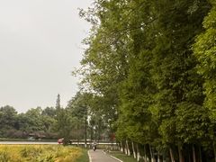 -桤木河湿地公园