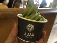 -雪绿茶博物馆