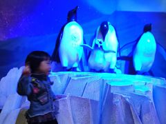 -成都浩海立方海洋公园