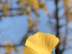 -百林公园-两江幸福广场