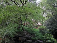 -中国茶叶博物馆(双峰馆区)