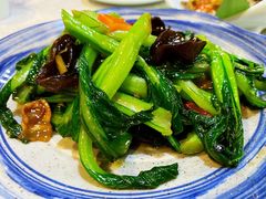 蒜蓉菜心-渔娘渔家丹东海鲜(东直门店)