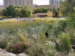 -长春世界雕塑园冰雪艺术天地