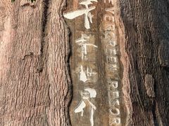 -青青世界