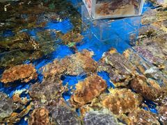 -盒马鲜生(馥邦国际店)