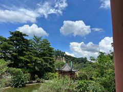 -广州神农草堂中医药博物馆