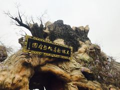 -大槐树寻根祭祖园