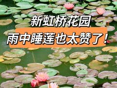 -新虹桥中心花园