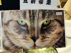 -兰境艺术中心