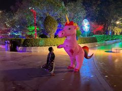 -郑州方特梦幻王国