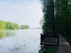 -东湖落雁景区