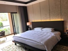 -上海崇明金茂凯悦酒店